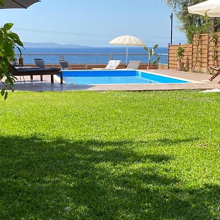 Seascape Luxury Villas Agia Marina  المظهر الخارجي الصورة