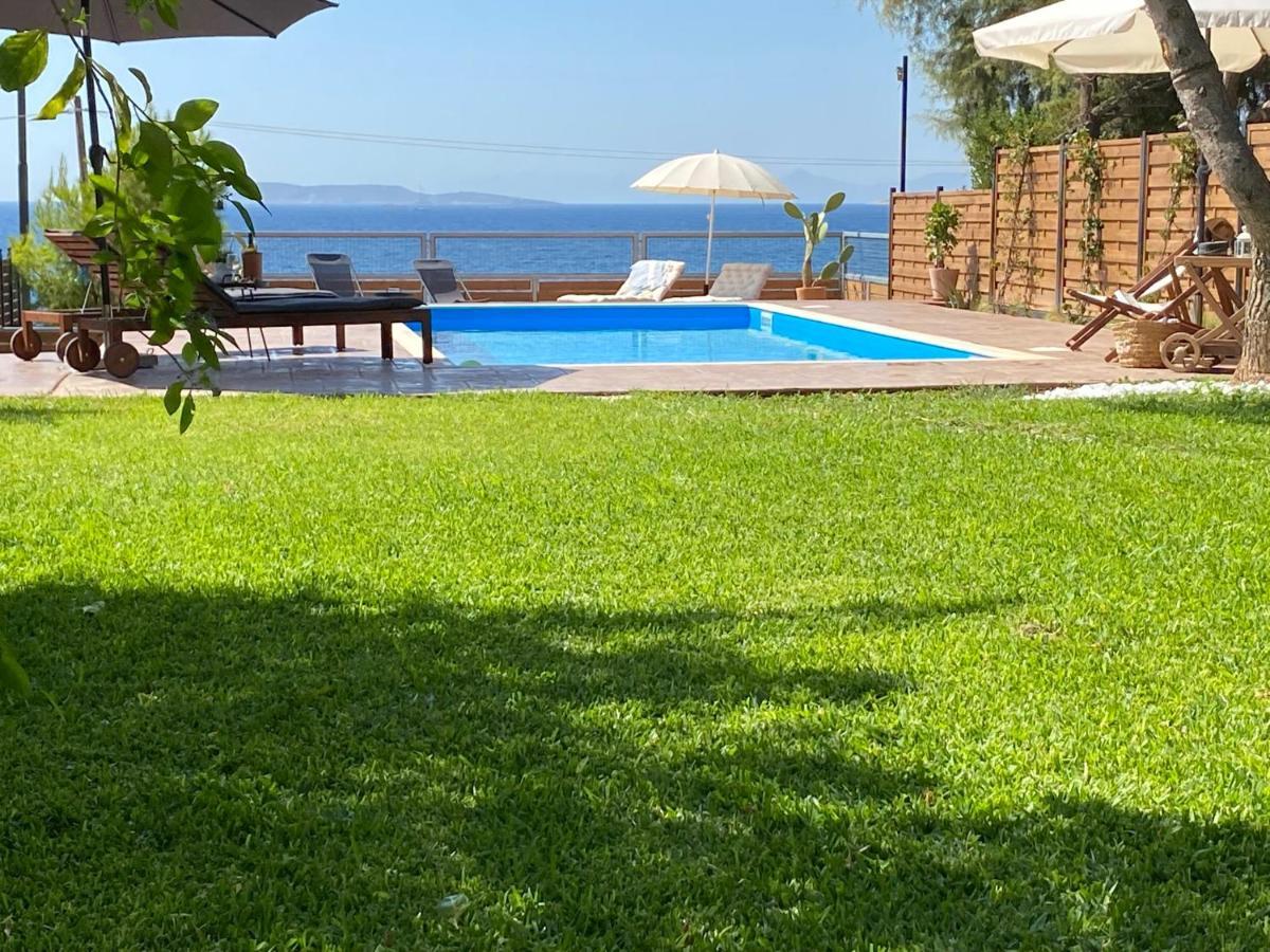Seascape Luxury Villas Agia Marina  المظهر الخارجي الصورة